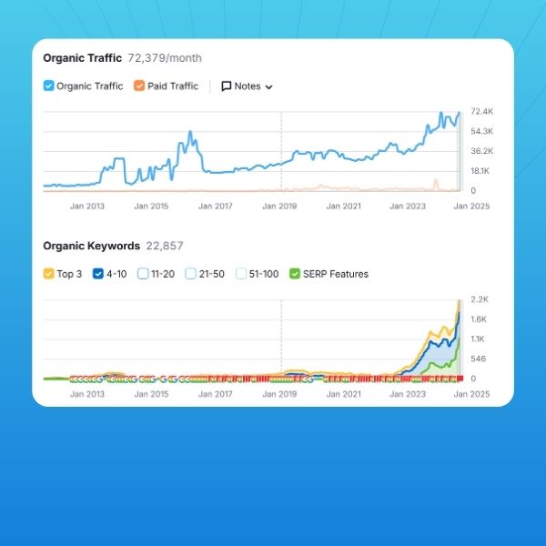 Cases Naper AI for Ecommerce Catalog pages SEO Optimization